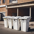 general waste in white skip bins.jpg